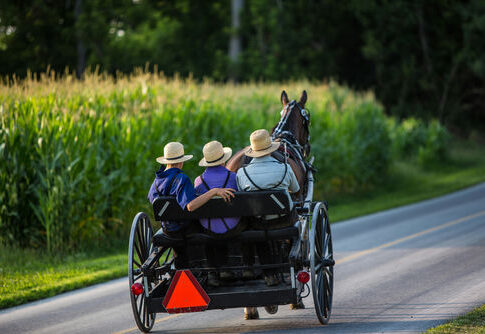 Horse-drawn carriage with three people in rural setting.