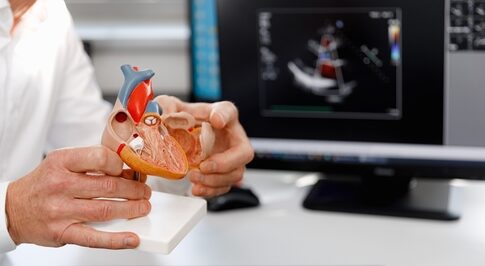 Healthcare professional holding a 3D heart model in front of a computer screen